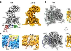 开云体育下载-ゴ??钙q蓡?階??Zk地n??倭?m/$?z8?NS囹笩滸1簼