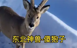 piC傻漓?a?轈?>(不爱就算了pixxie)